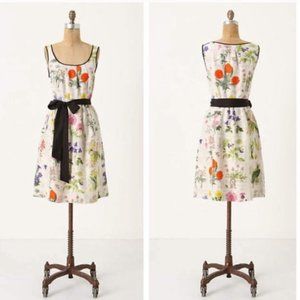 Rare Anthro Moulinette Soeurs Tuileries Dress Silk